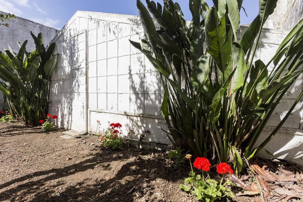 Family House Garden Villa Ponta Delgada Rom bilde